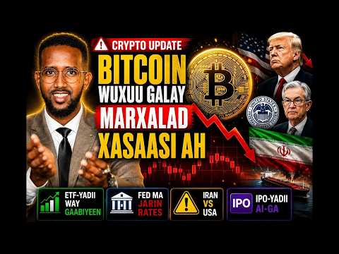 Crypto Update: Suuqa Bitcoin Wuxuu Galay Marxalad Xasaasi Ah