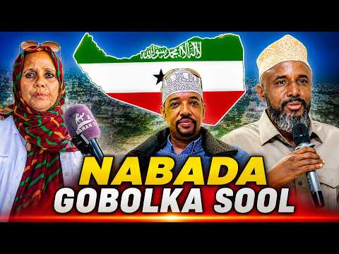 “Garaad Jaamac Garaad Cali Nabad Ma Rabo, Habar Jeclo iyo Dhulbahante Ha Heshiiyaan” Shugri Xasan