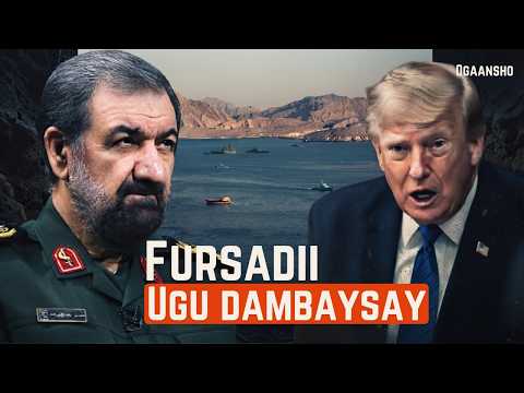 Fursadii Ugu Dambaysay .