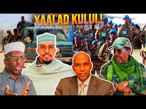 Deg Deg Qasaraha Dagaalka Muqdisho, Xalada Ugaas Murursade, Go'aanka DF