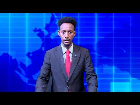 Warka Universal TV 16 10 2026