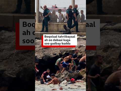 Daawo: Muuqaalka boqolaal tahriibayaal ah oo dabaal kaga yimi Afrika iyagoo ku qulqulaya Spain