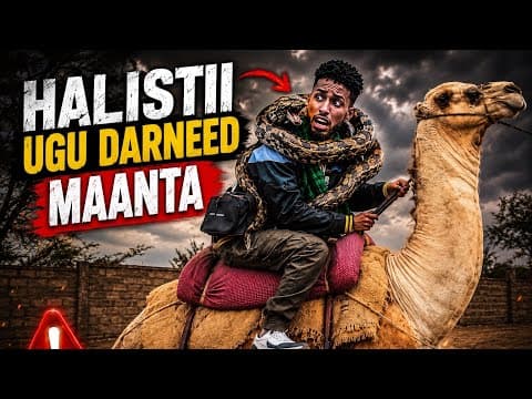 HALISTA ADUUNKA MARKII UGU HOREYSE AAN TIJAABIYO IYO MAS AAN QOORTA SAARTAY😱..?