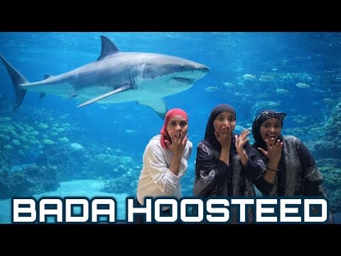 BADA HOOSTEDA AYAAN GEEYE SI AY USOO ARKAAN WAXA BADA KU DHEX JIRA 