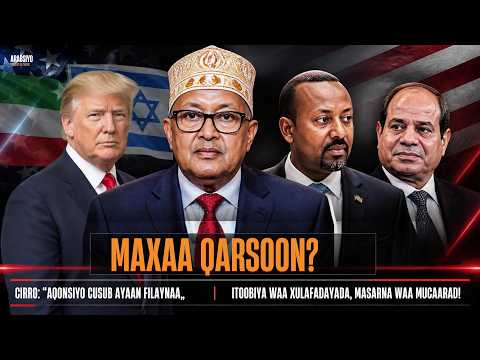 “AQOONSIYO CUSUB AYAAN FILAYNAA” | MAXAA QARSOON? | ITOOBIYA, MASAR & KHUDBADDII CIRRO!