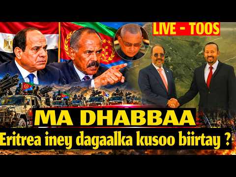TOOS: WAR CULUS DAGAALKA ITOOBIYA IN KA BADAN 700 OO DHAAWA AH