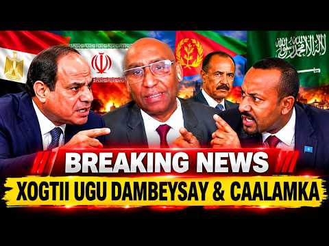 WARARKII UGU CUSLAA DAGALKA ITOOBIYA | XOG HADA SOO DHACDAY