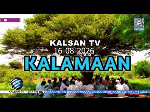 Wararka Telefishinka Kalsan Tv Tebin: Faysal Cabdi Faarax 16-08-2026