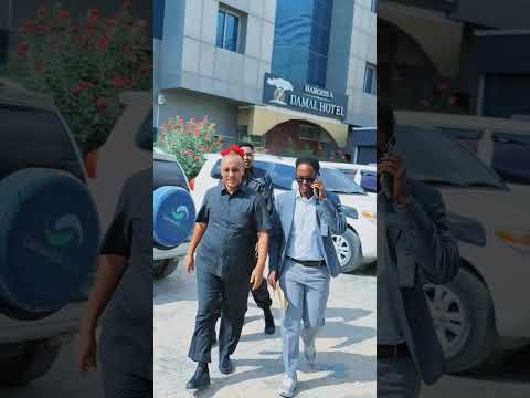 Gudoomiyaha Xisbiga muxaafidka ah ee WADDANI Mudane Xirsi Cali X Xasan