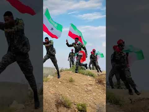 CIIDAMADA QARANKA JAMHUURIYADDA SOMALILAND EE BARAKAYSAN EE LOVE SARA REER SOMALILANDOW